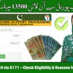 8171 Web Portal 2025 Check Online 13500 – Easy & Reliable BISP Payment Update