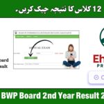 BISE BWP Board 2nd Year Result 2025