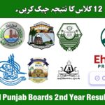 12th Class Result 2025
